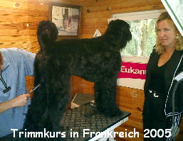 Trimmkurs in Frankreich 2005