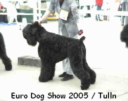 Euro Dog Show 2005 / Tulln